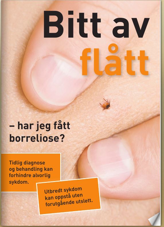 Bilde av brosjyren "Bitt av Flått". Foto: Flåttsenteret