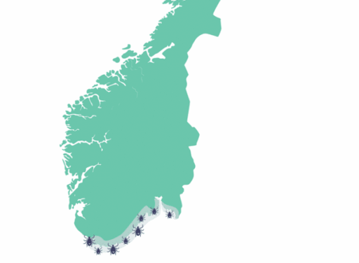 Flatt vaksine tbe virus norge norgeskart flatt tbe vaksine norge2